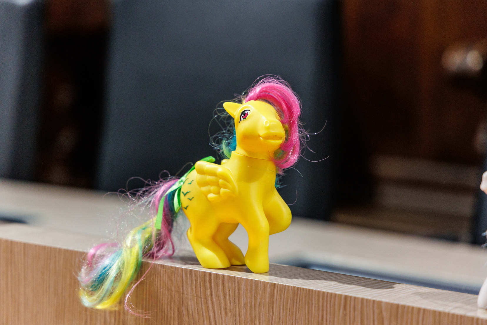 One of the Peace Ponies